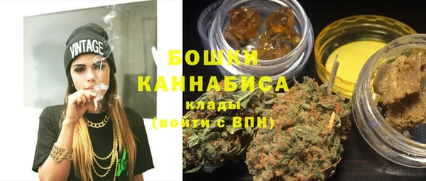 Альфа ПВП Инсар