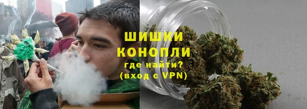 Альфа ПВП Инсар
