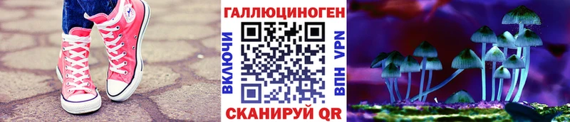 Купить закладки  Суоярви  Псилоцибиновые грибы прущие грибы 